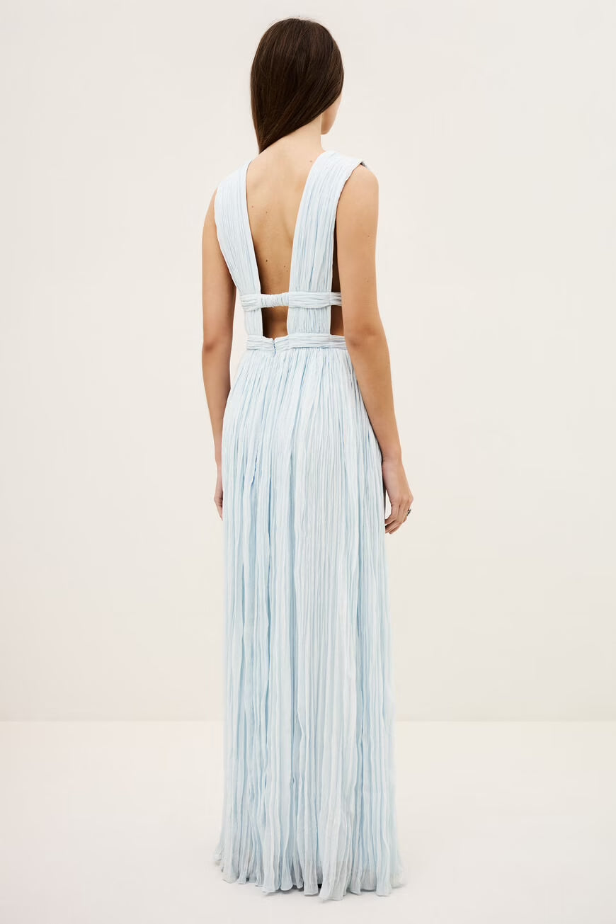 Maxi V-Neck Dress
